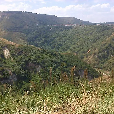 Marasusa * 帕尔盖利亚