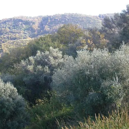 Marasusa بيت للعطل