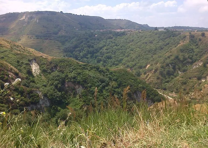 Marasusa * פרגליה